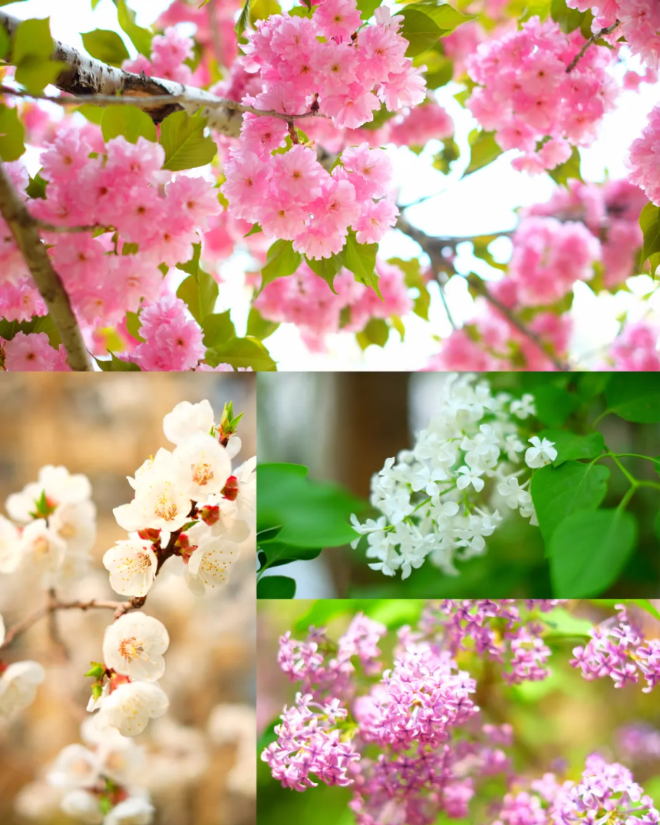 1629814066284293.png image.png