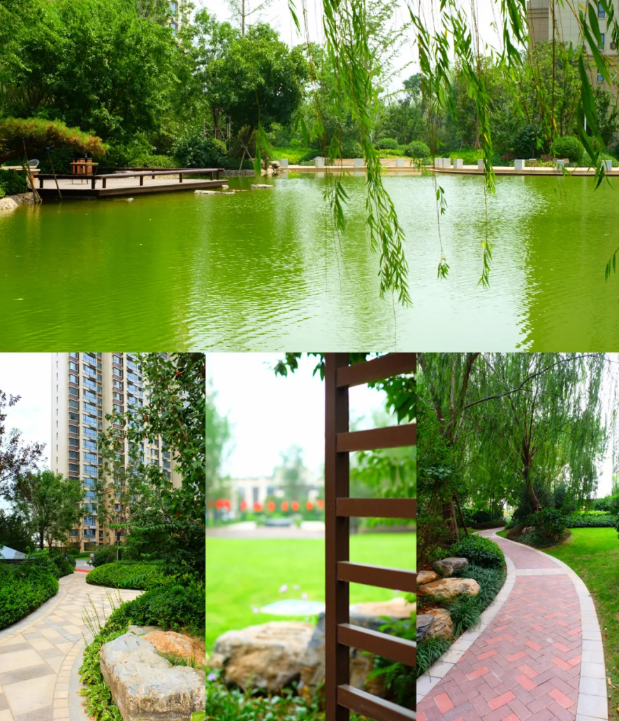 1629814105558060.png image.png